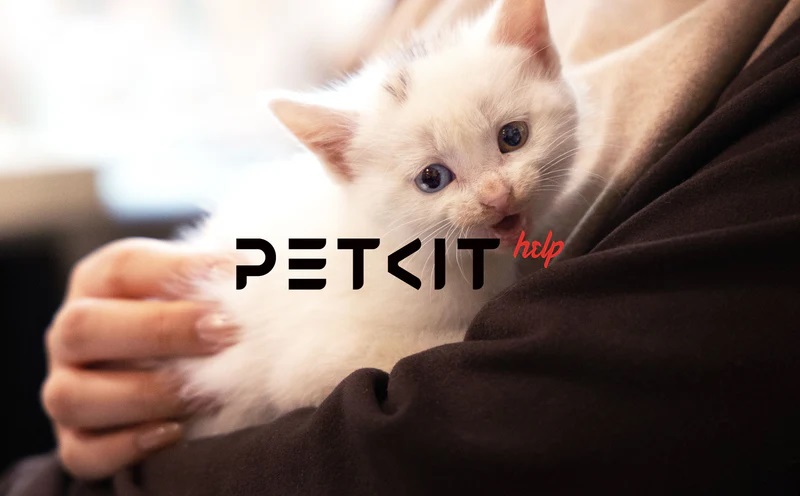 petkit-help-innovate-for-impact-807074 petkit-help-innovate-for-impact-807074