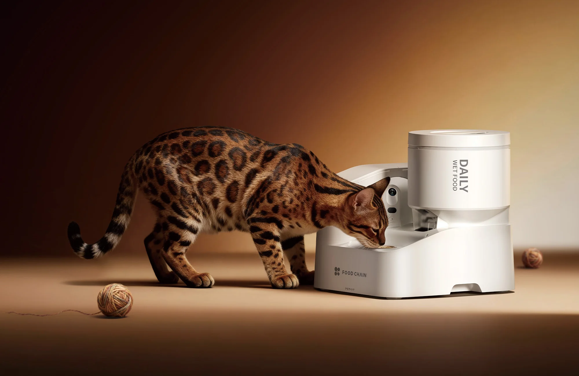 YUMSHARE DAILY FEAST