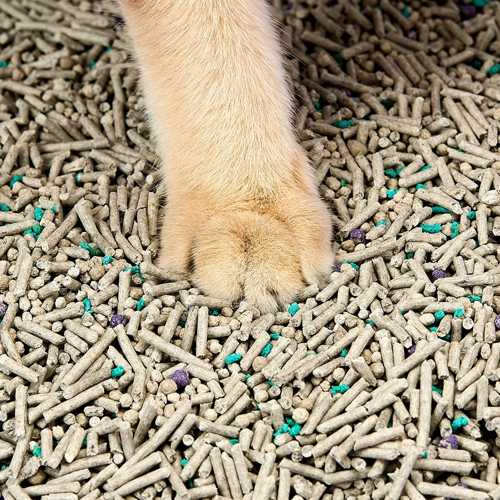 PETKIT 5-in-1 gemischtes Katzenstreu | 4 Stück