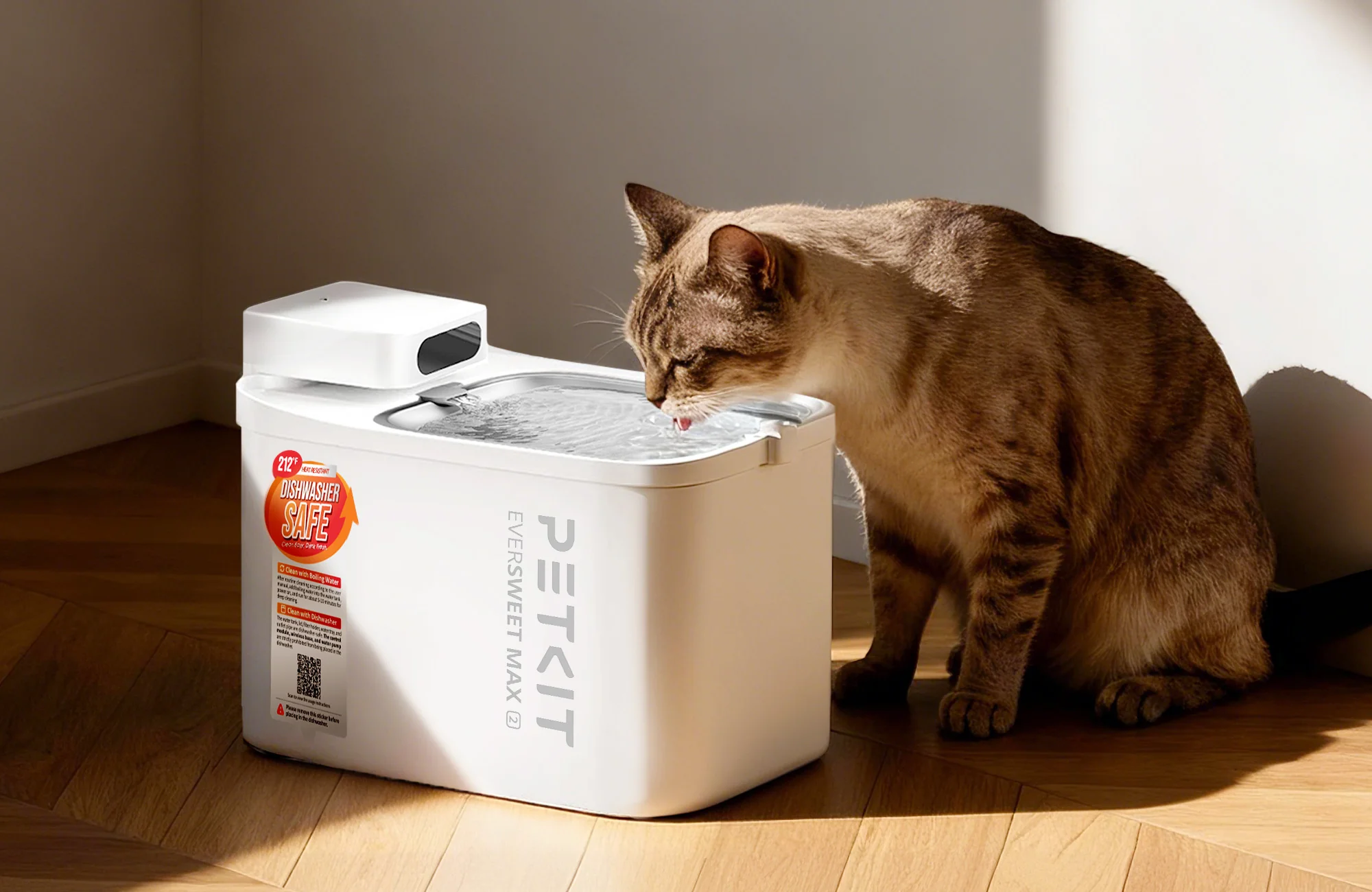 cat-not-drinking-water