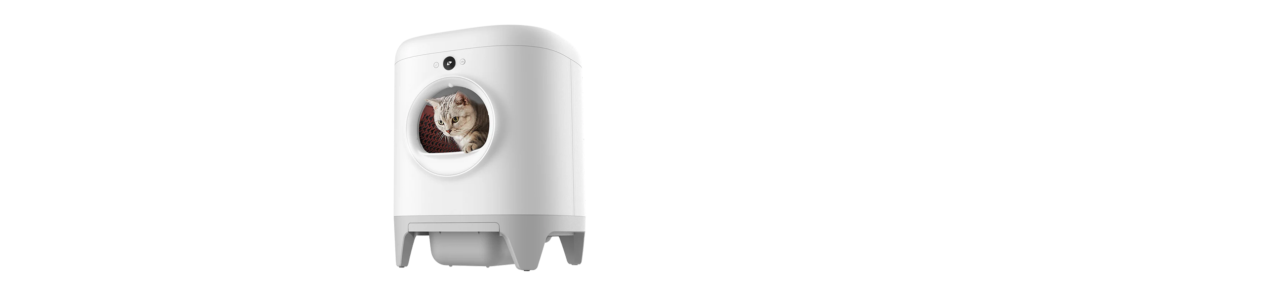 pura-x-2
